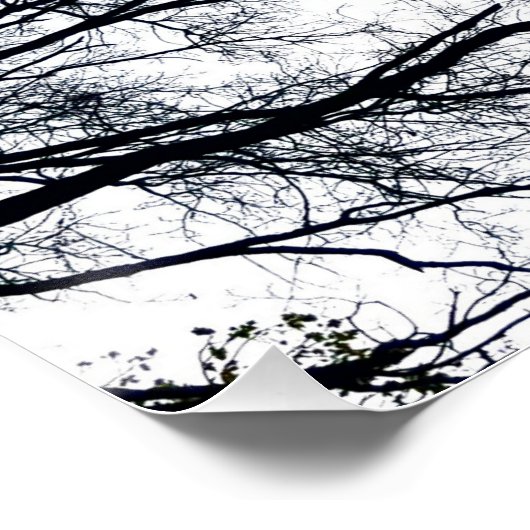 Poster Fractal Zwollenaar (Coin)