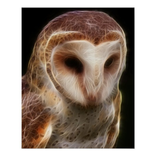 Poster Fractale masquée de hibou (Devant)