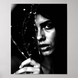 Poster Fractionnement