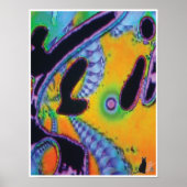 Poster Fracture de l'image KC (Devant)