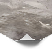 Poster Fragments of Light (Coin)