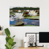Poster Fragrant Water Lily (Bureau à domicile)