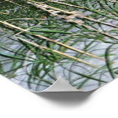 Poster Frais 4-8b (Coin)