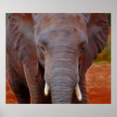 Poster Frais d'éléphants (Devant)