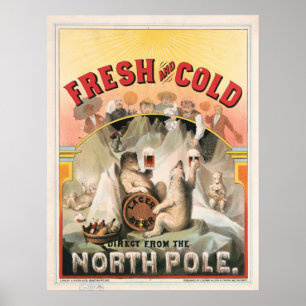 Poster Frais et froid - Bière directement du pôle Nord