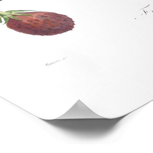 Poster Fraise (Coin)