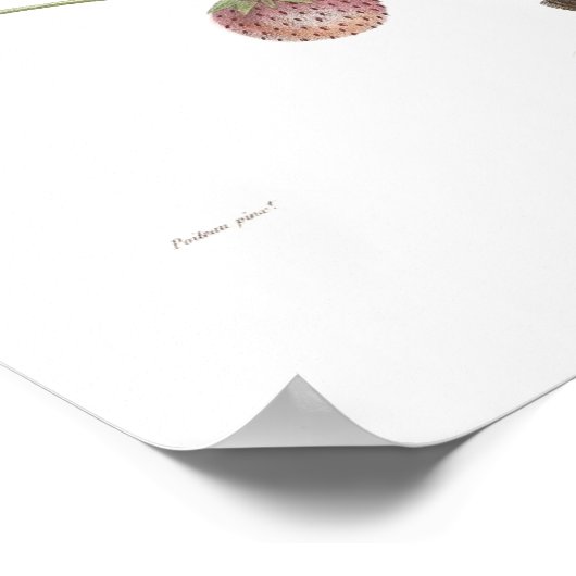 Poster Fraise (Coin)