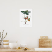 Poster Fraise (Cuisine)