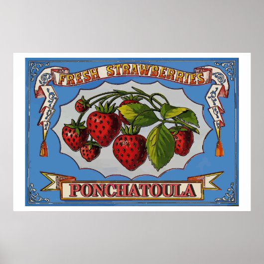 Poster Fraises de Ponchatoula, LA (Devant)