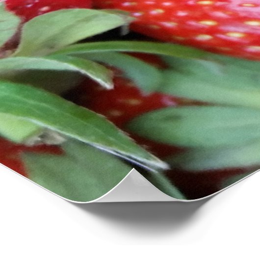 Poster fraises fraîches 1 (Coin)