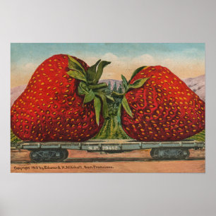 Poster Fraises Géant Antique Fruit Amusant