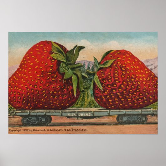 Poster Fraises Géant Antique Fruit Amusement (Devant)