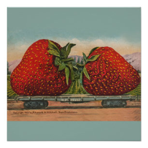 Poster Fraises Giant Fruit Antique Fruit Amusant