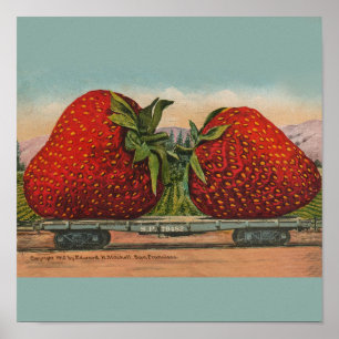 Poster Fraises Giant Fruit Antique Fruit Amusant