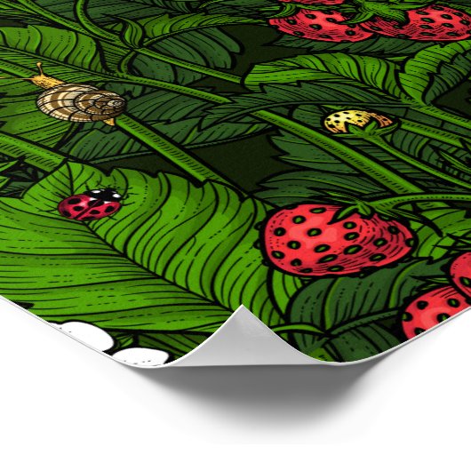 Poster Fraises sauvages (Coin)