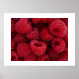 Poster Framboises