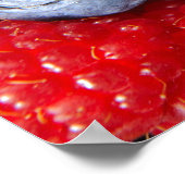 Poster Framboises bleuets et framboises (Coin)