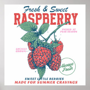 Poster Framboises fraîches sucrées vintage cuisine