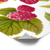 Poster Framboises rouges aquarelle fruit peint (Coin)