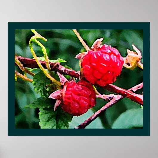 Poster Framboises sauvages (Devant)