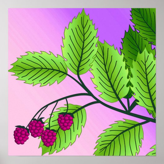 Poster Framboises sur une branche (Devant)