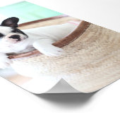 Poster français Bulldog (Coin)