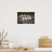 Poster France, Camargue. Les chevaux courent à travers le (Cuisine)