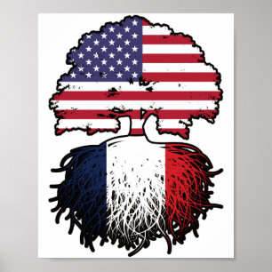 Poster France Français Américain États-Unis États-Unis d'
