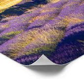 Poster France, Gordes. monastère cistercien de (Coin)