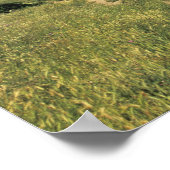 Poster FRANCE, Languedoc Carcassonne (Coin)