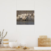 Poster France, Provence. Cheval blanc de Camargue (Cuisine)