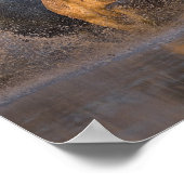 Poster France, Provence. Chevaux blancs de Camargue (Coin)