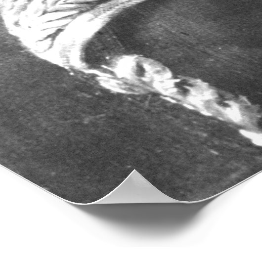 Poster Francisco de Miranda (Coin)