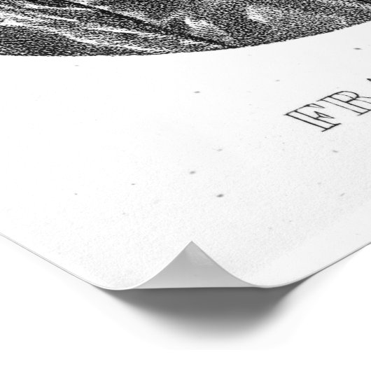 Poster Francois Viete (Coin)