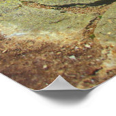 Poster Franconia Ridge Trail White Mountains (Coin)