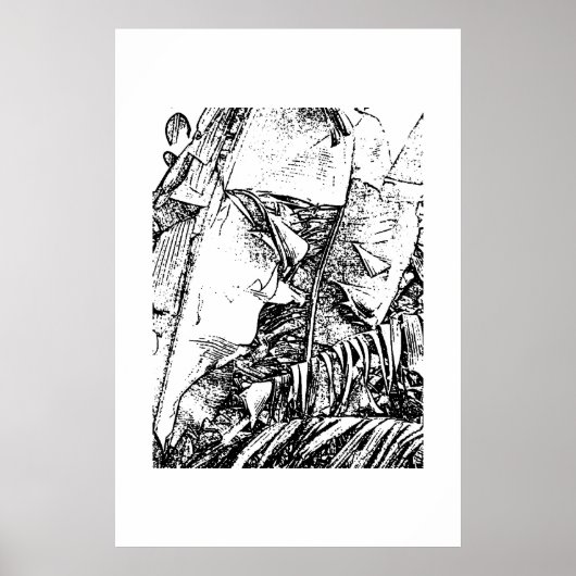 Poster Franges bananes (Devant)