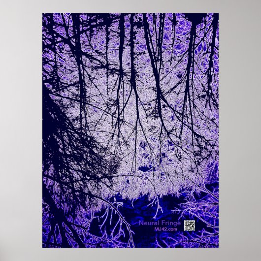 Poster Franges neuronales (Devant)