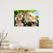 Poster Frangipani (Cuisine)