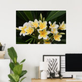 Poster Frangipani (Bureau à domicile)