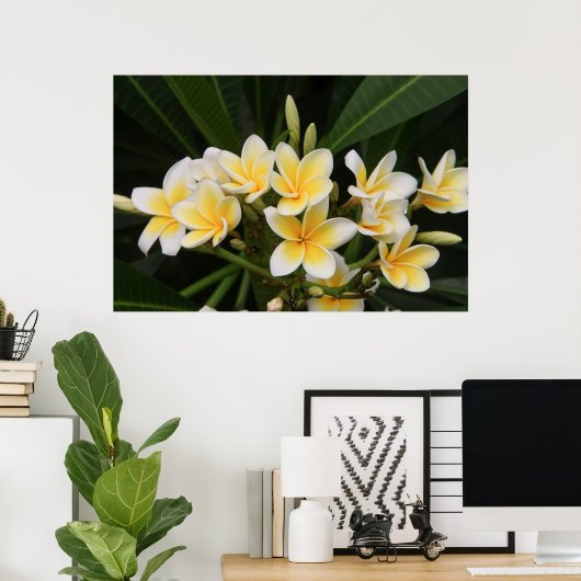 Poster Frangipani (Bureau à domicile)
