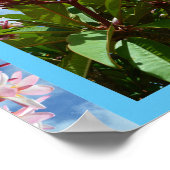 Poster Frangipani à fleurs roses, (Coin)