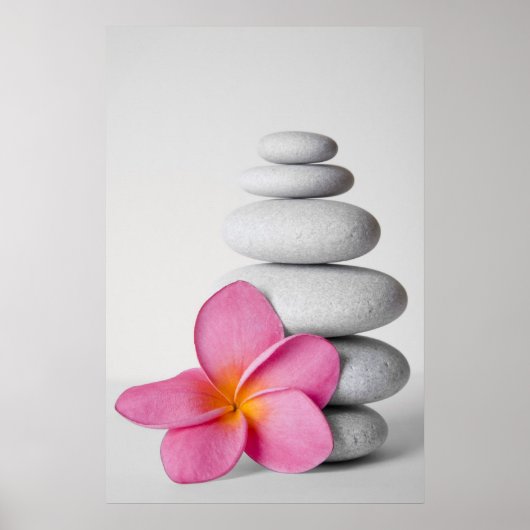 Poster Frangipani Calm (Devant)