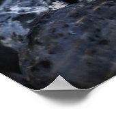 Poster Frangipani flowers (Coin)