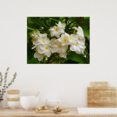 Poster Frangipani hawaïen (Cuisine)