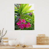Poster Frangipani hawaïen (Cuisine)