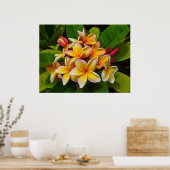 Poster Frangipani hawaïen (Cuisine)