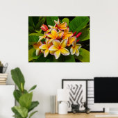 Poster Frangipani hawaïen (Bureau à domicile)