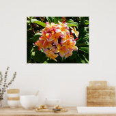 Poster Frangipani hawaïen (Cuisine)