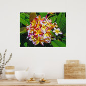 Poster Frangipani hawaïen (Cuisine)