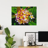Poster Frangipani hawaïen (Bureau à domicile)